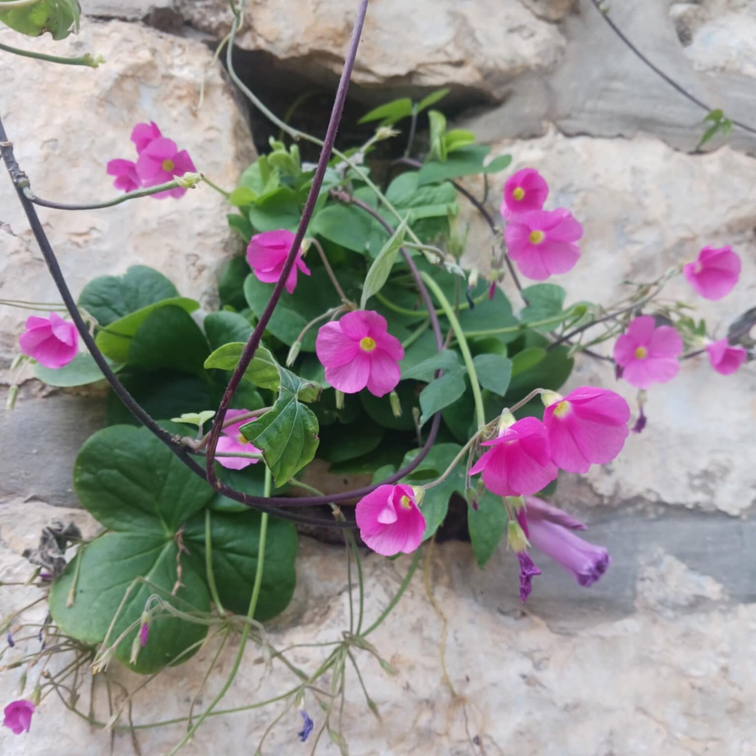 Dein Angebot für diese Zeit